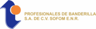 Profesionales de Banderilla